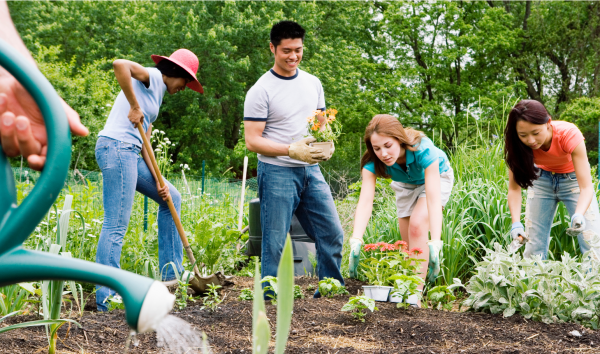 Image for event: Dr. Clarence V. Cuffee Library Community Garden