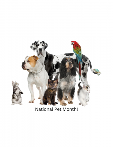 Image for event: Celebrate National Pet Month 